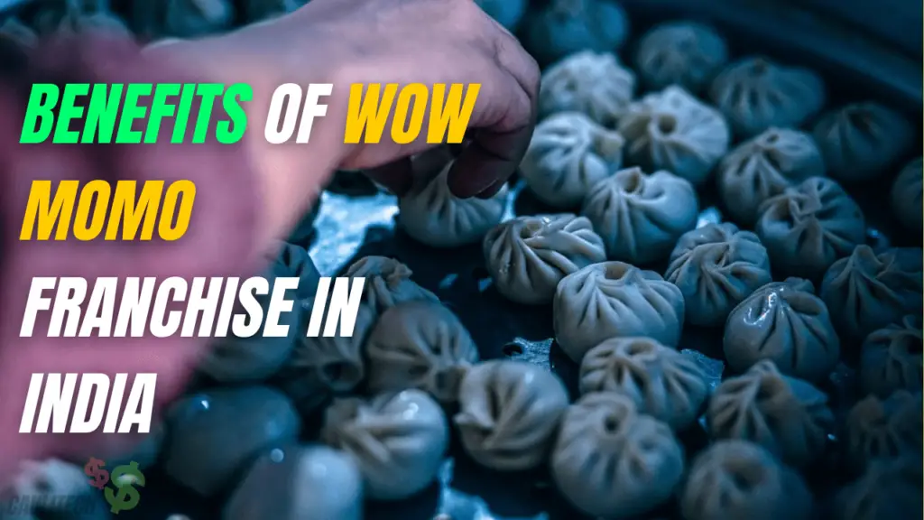 Benefits Of Wow Momo Franchise In India